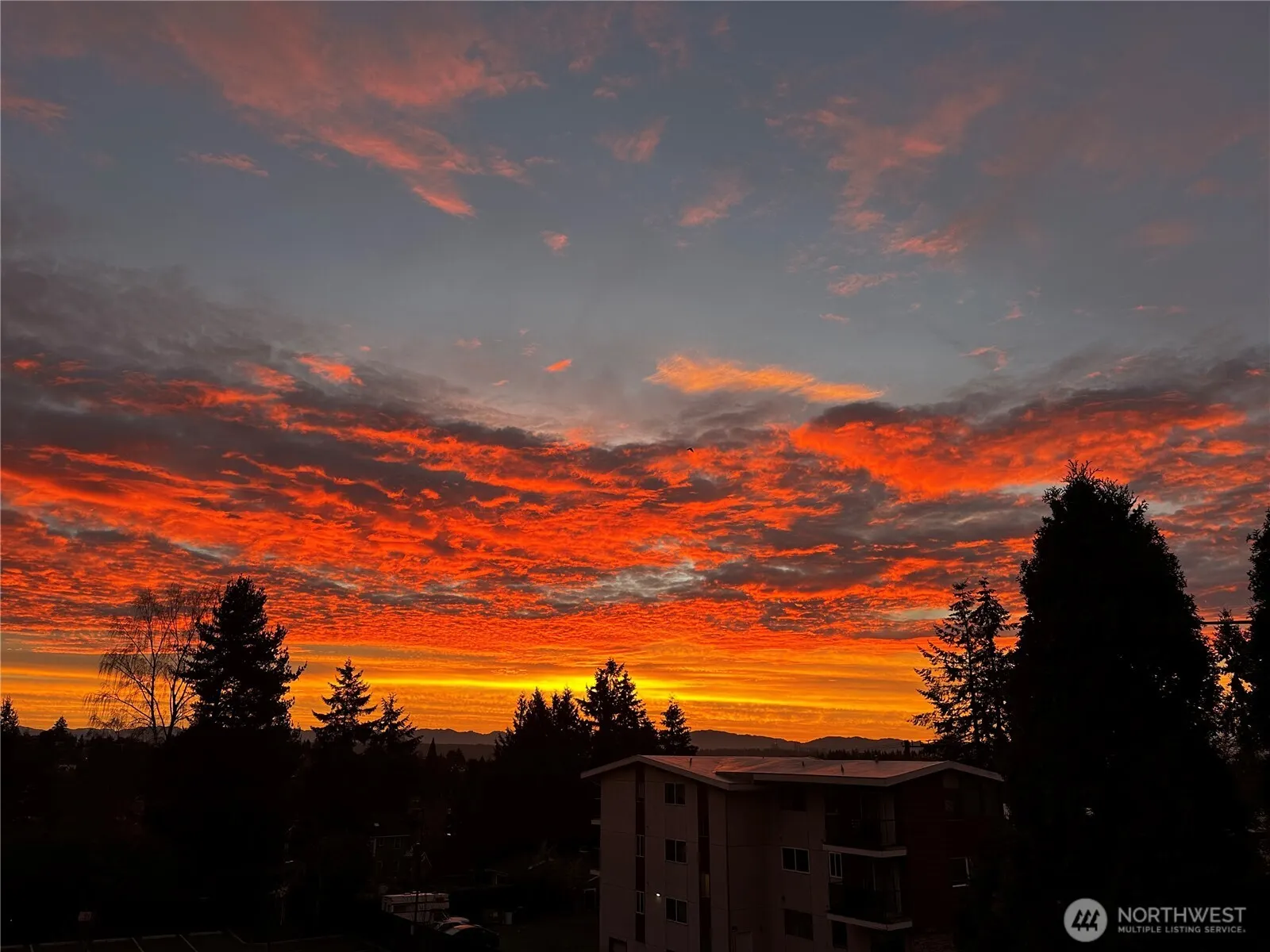 6519 35th Avenue NE #201, Seattle, WA 98115-7302