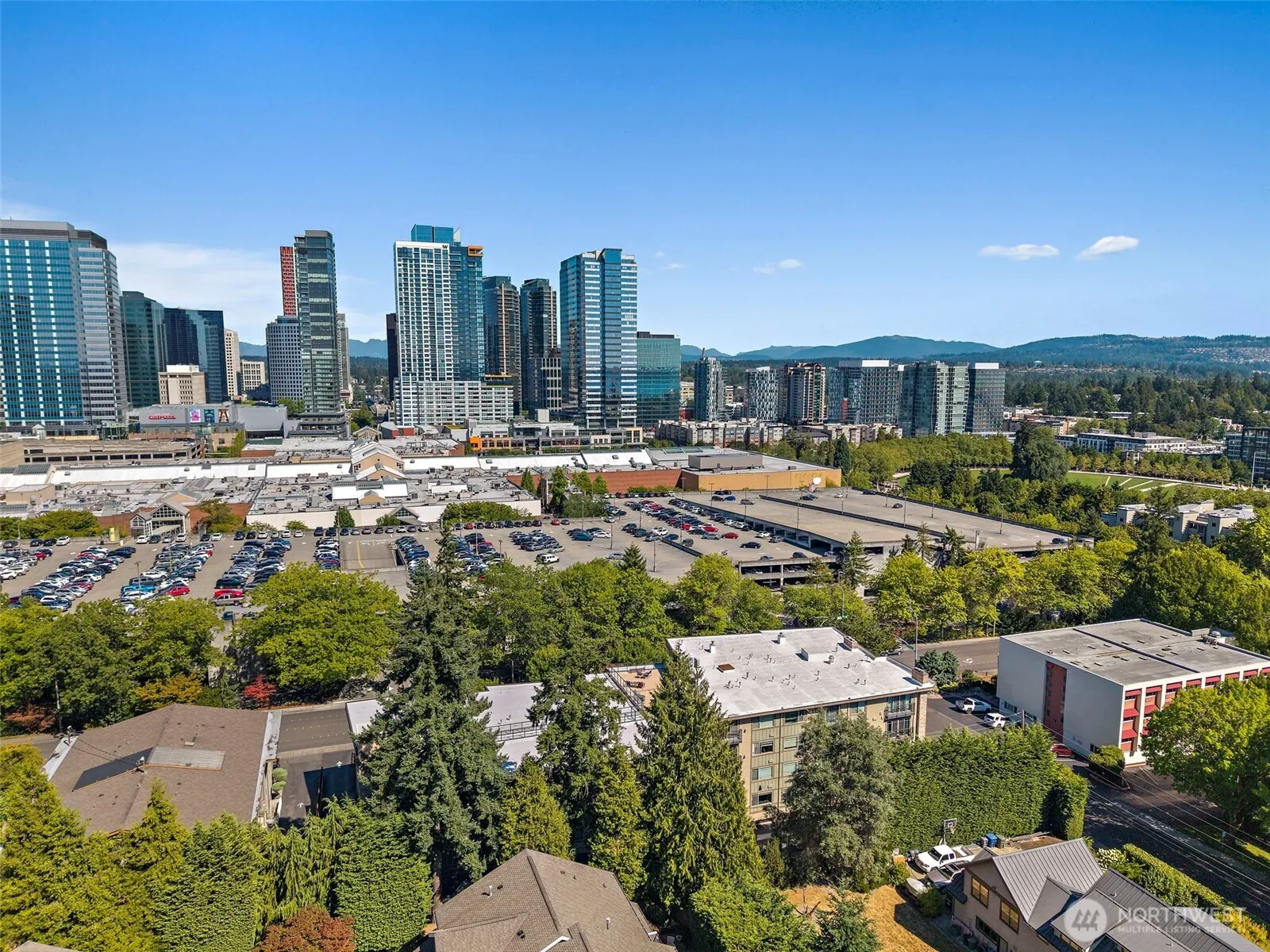511 100th Avenue NE #305, Bellevue, WA 98004