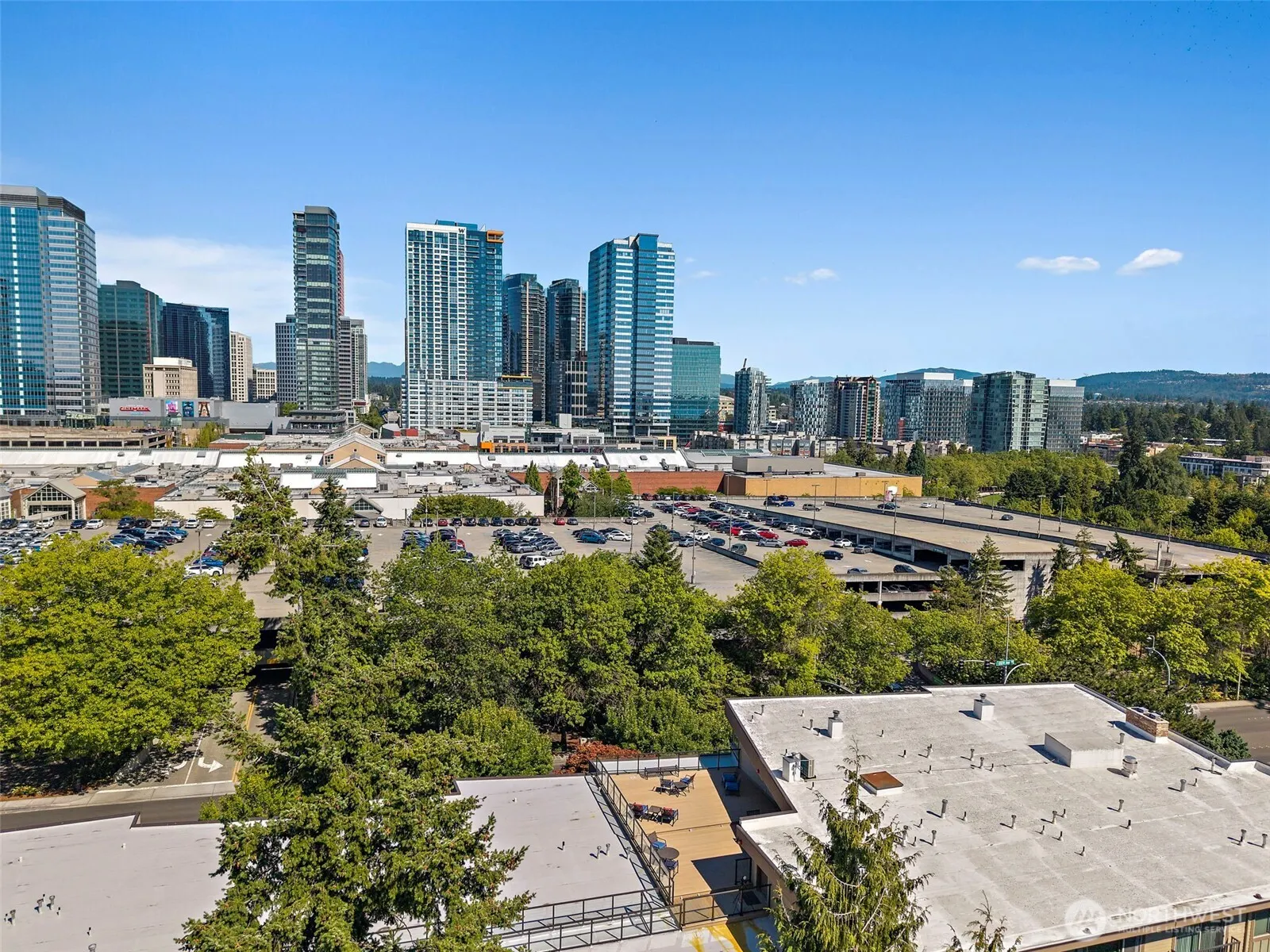 511 100th Avenue NE #305, Bellevue, WA 98004