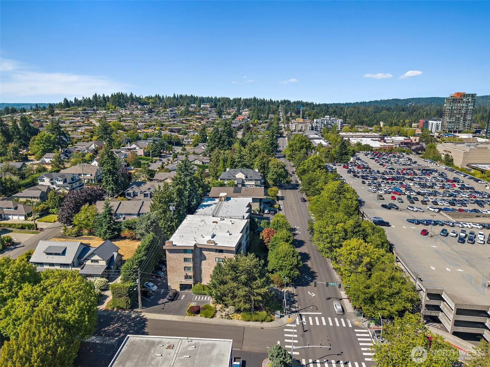 511 100th Avenue NE #305, Bellevue, WA 98004