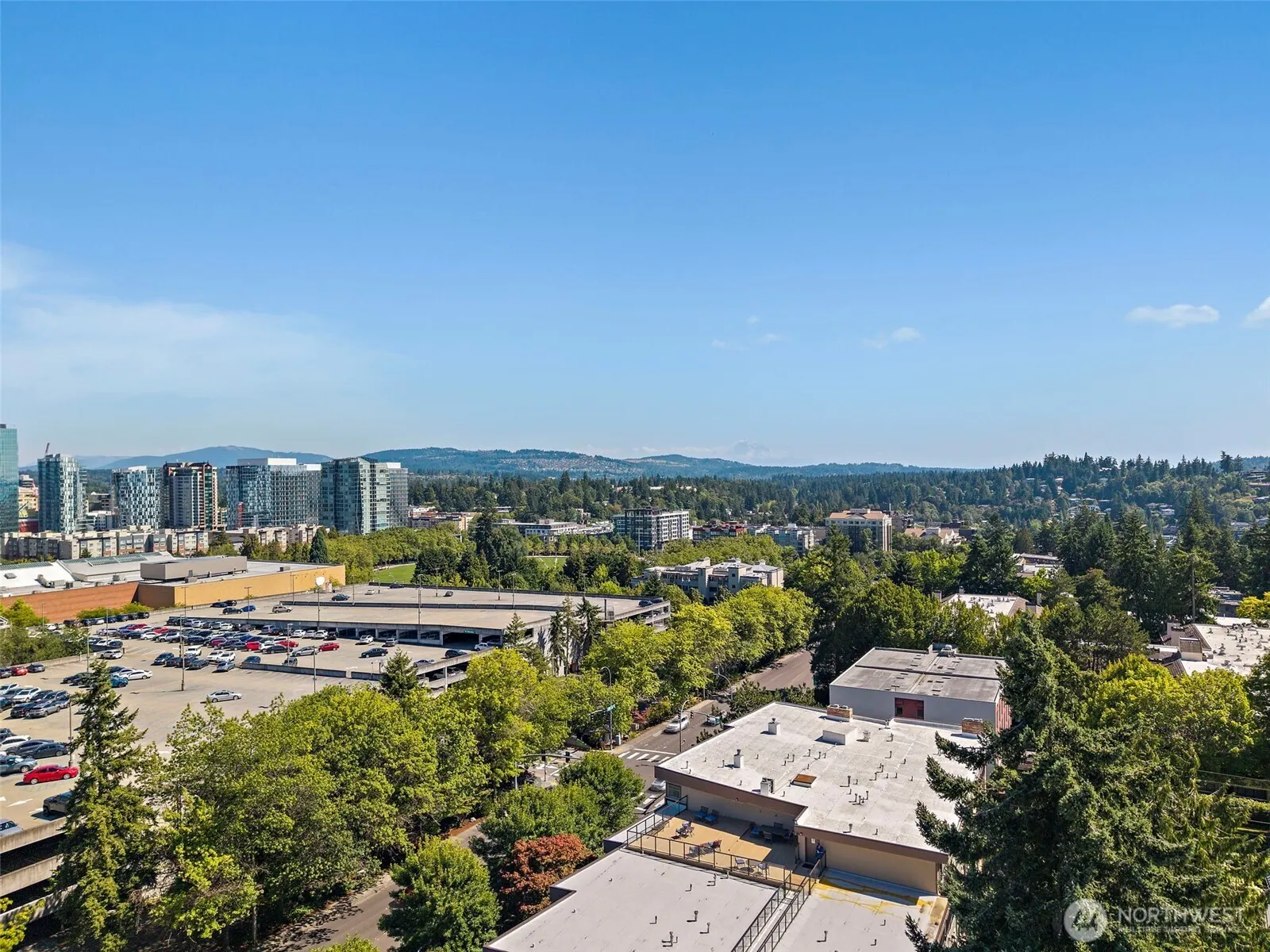 511 100th Avenue NE #305, Bellevue, WA 98004