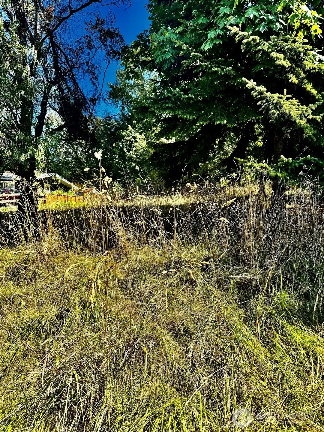 0 93rd Avenue S, Kent, WA 98031