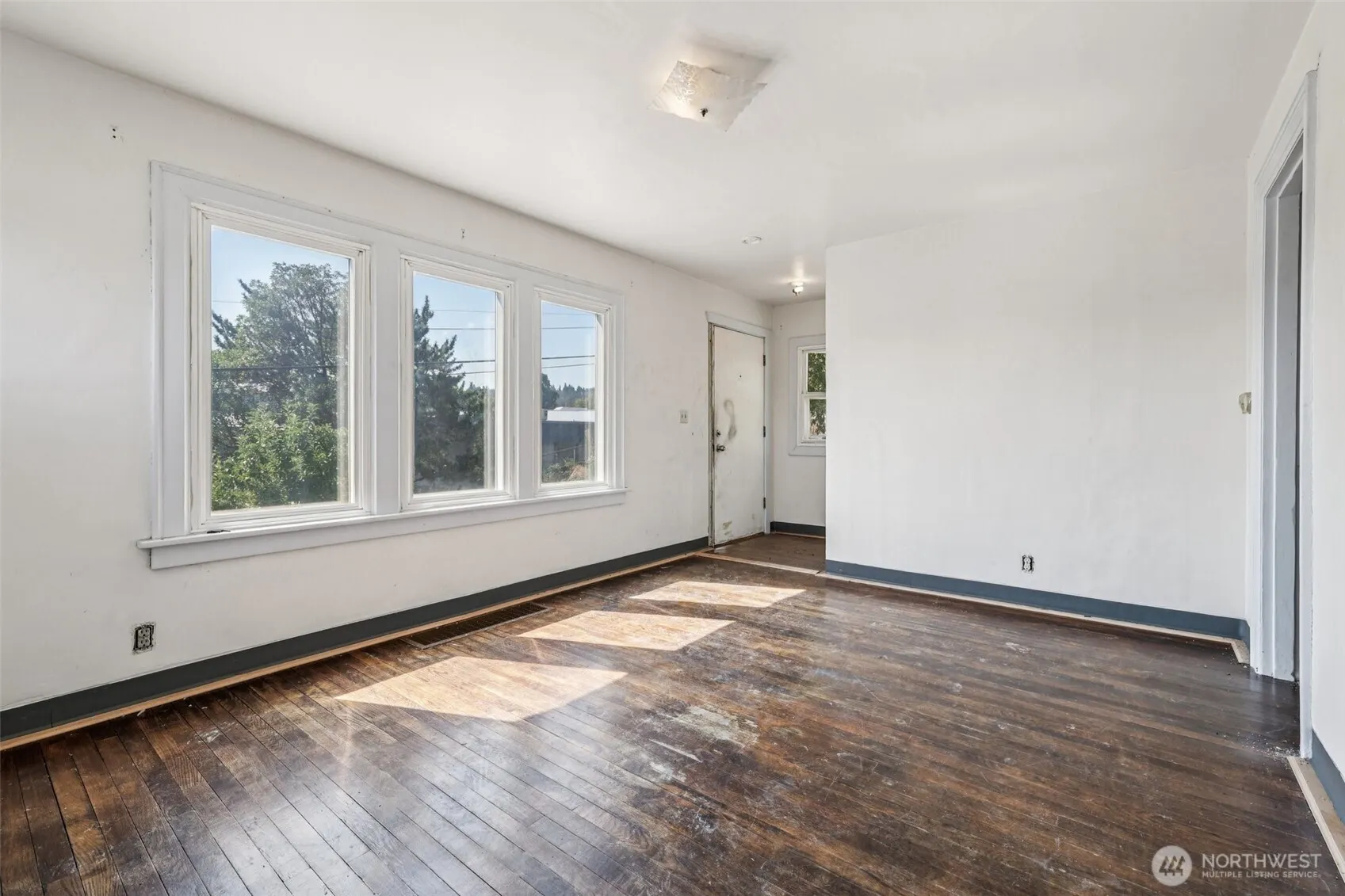 1234 S Director Street , Seattle, WA 98108