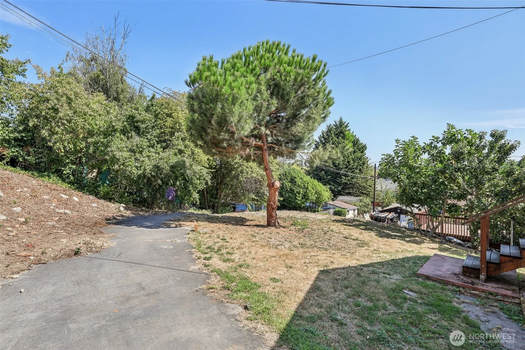 1234 S Director Street , Seattle, WA 98108
