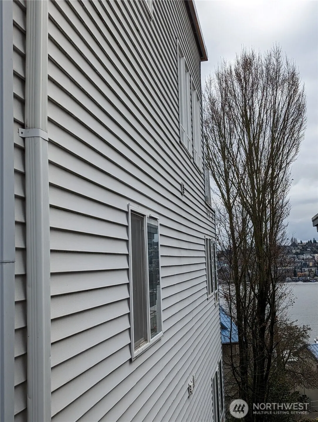 2419 8th Avenue N #202, Seattle, WA 98109