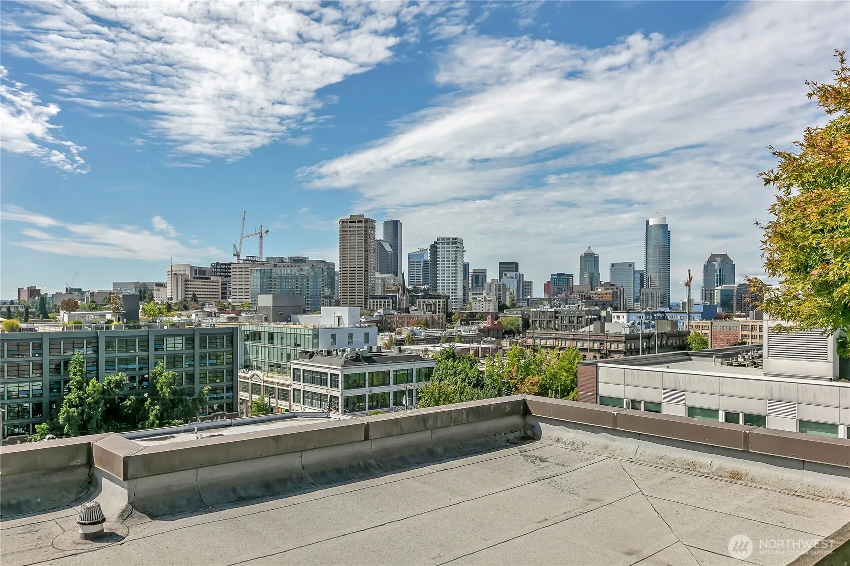 1125 E Olive Street #203, Seattle, WA 98122
