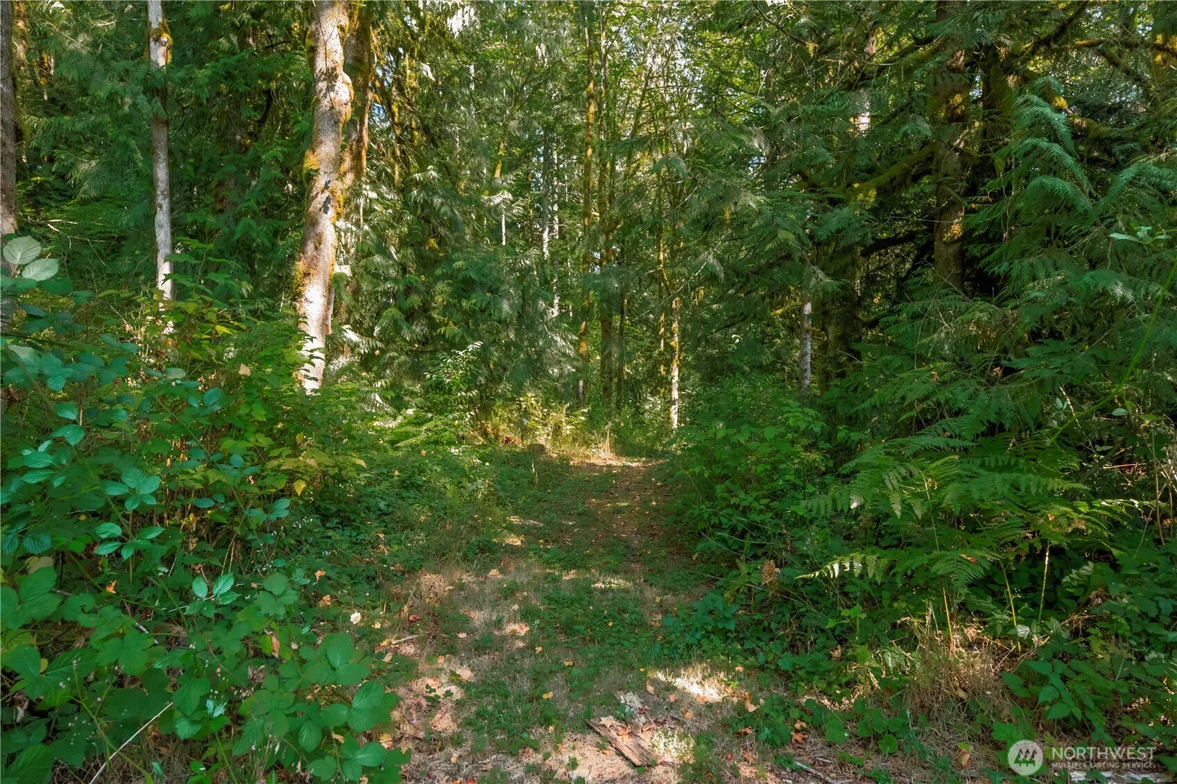 9305 312th Avenue SE, Issaquah, WA 98027