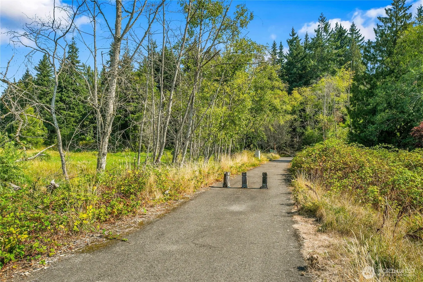 12701 NE 9th Place #D206, Bellevue, WA 98005