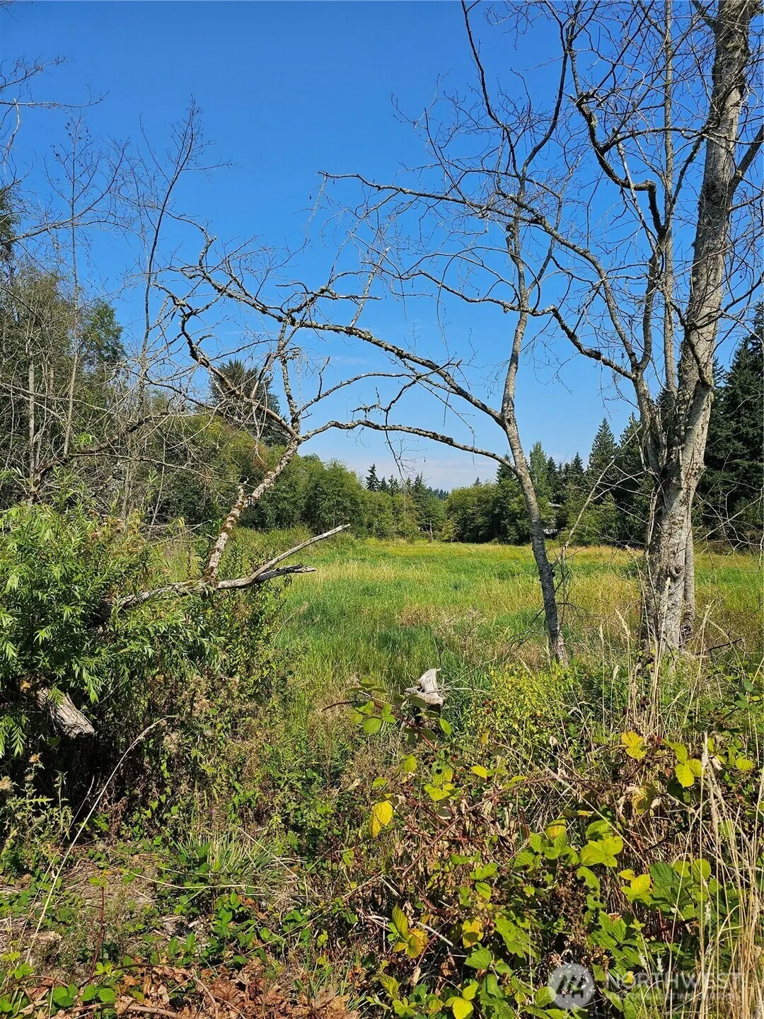 12701 NE 9th Place #D206, Bellevue, WA 98005