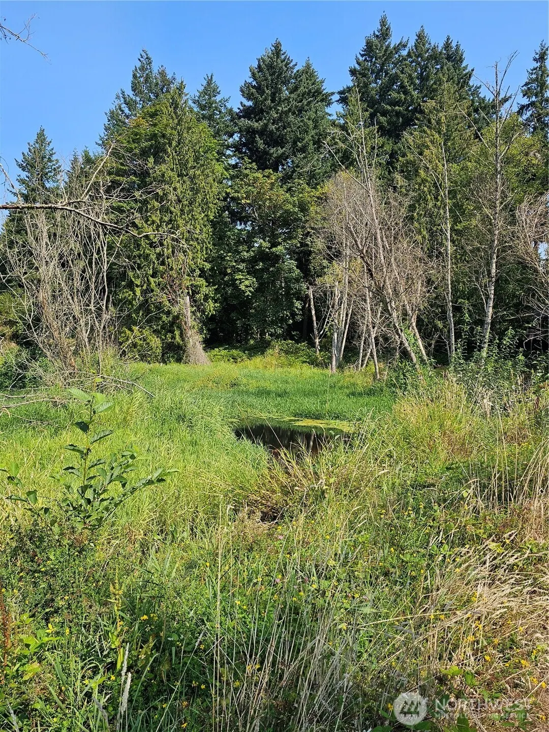 12701 NE 9th Place #D206, Bellevue, WA 98005