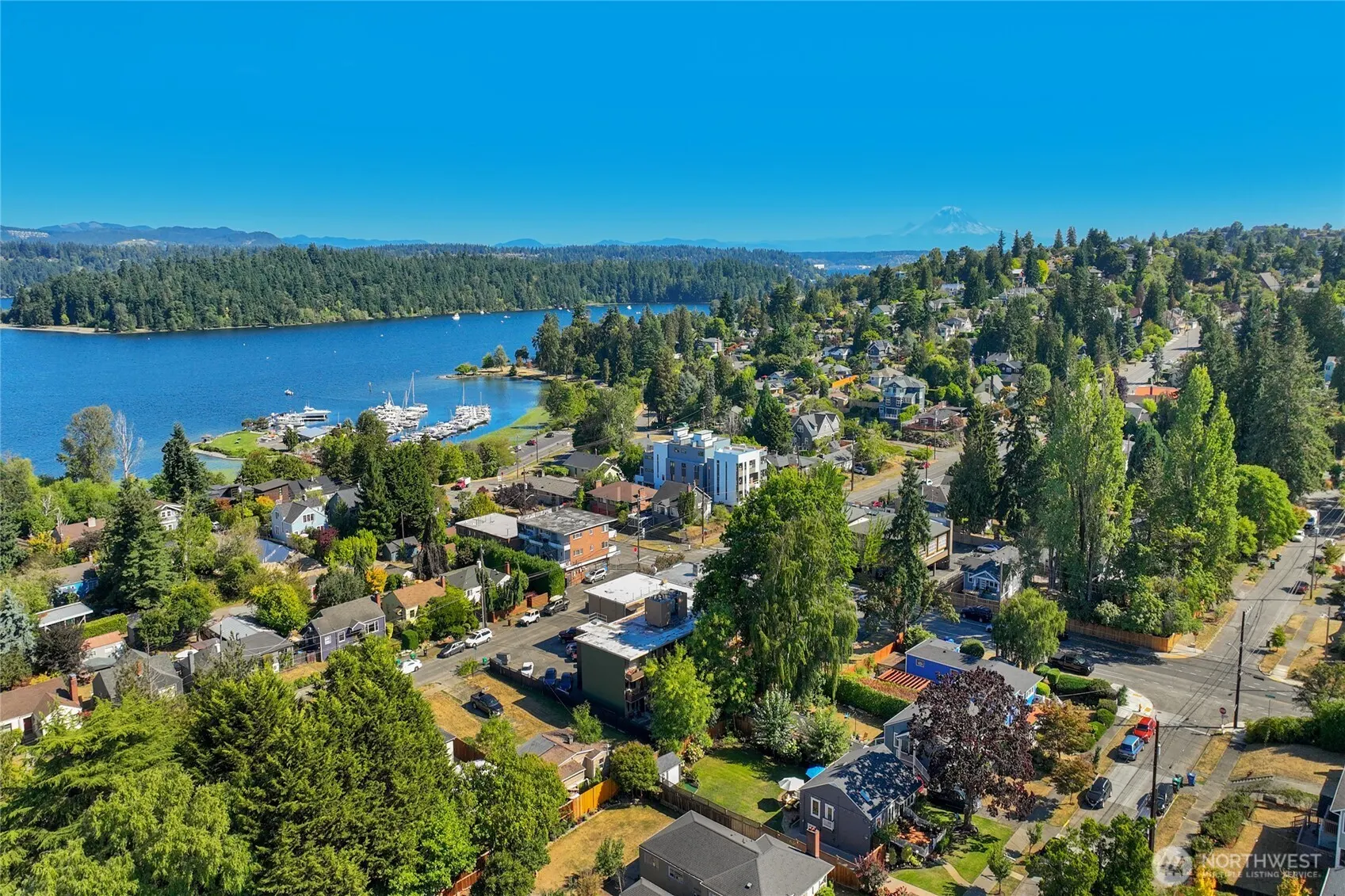 4220 49th Avenue S, Seattle, WA 98118