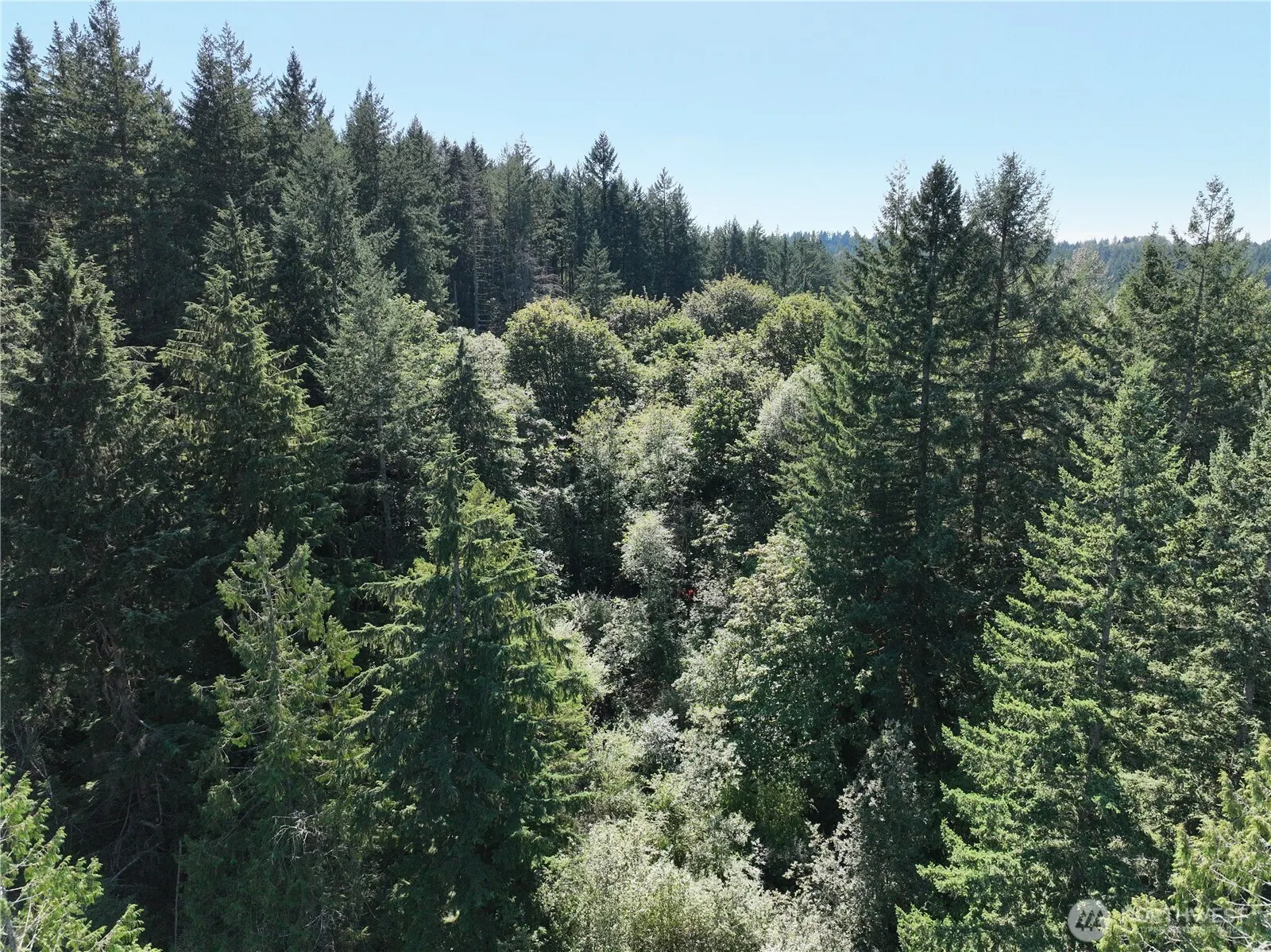 1 XXX 223rd Ave Avenue SE, Issaquah, WA 98027