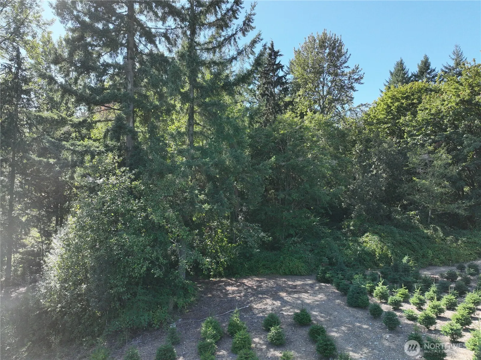 1 XXX 223rd Ave Avenue SE, Issaquah, WA 98027