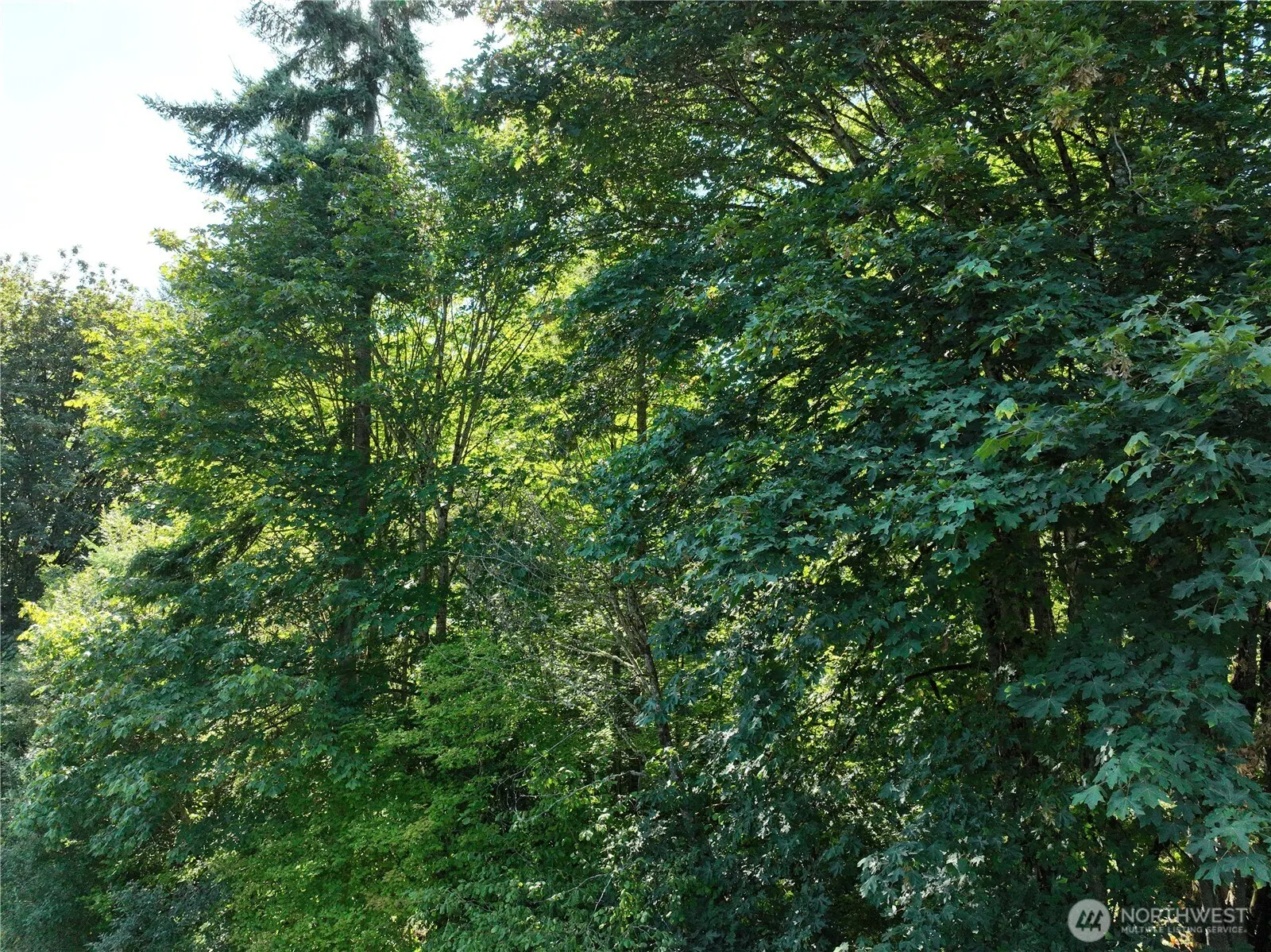 1 XXX 223rd Ave Avenue SE, Issaquah, WA 98027
