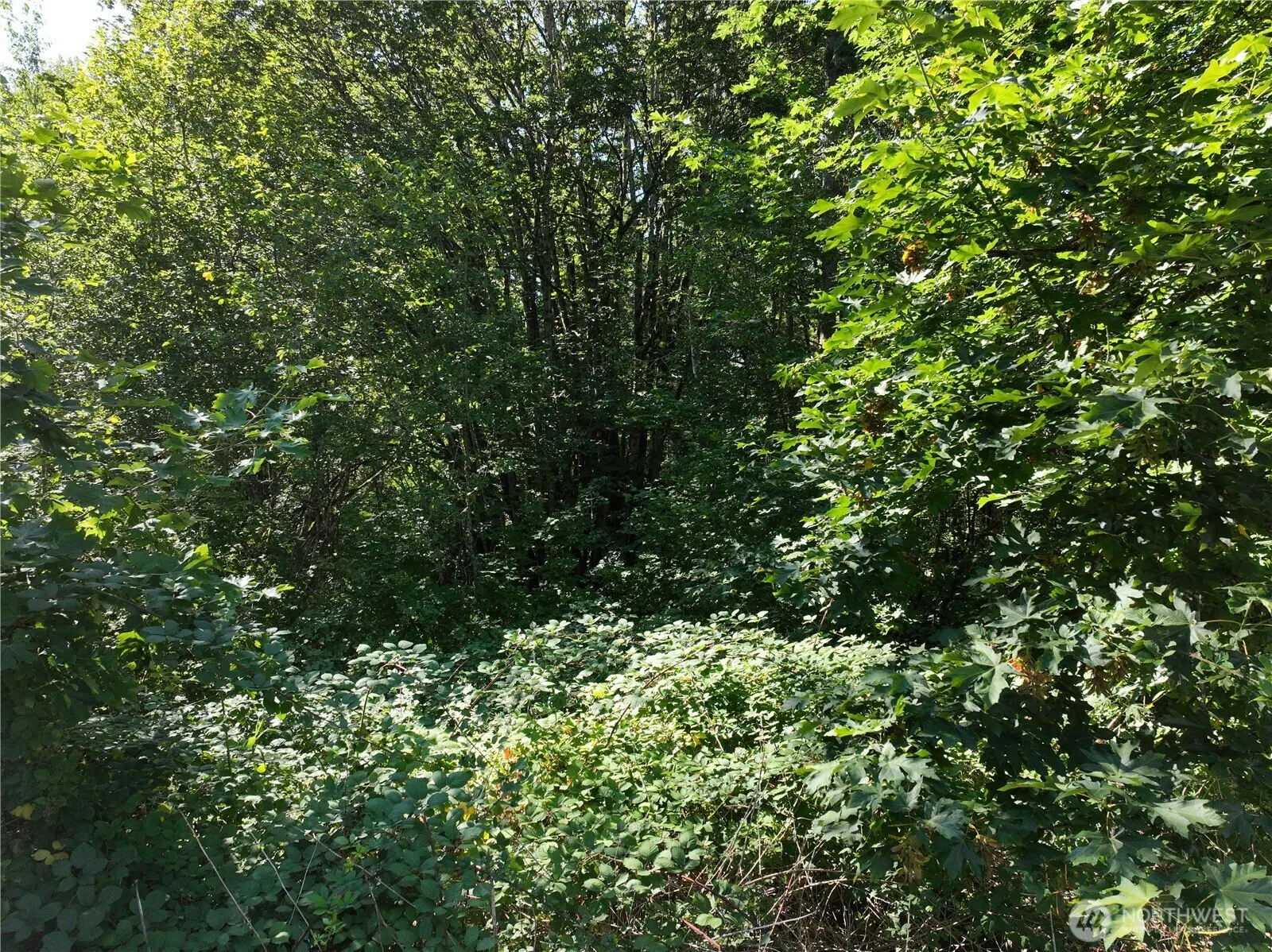 1 XXX 223rd Ave Avenue SE, Issaquah, WA 98027