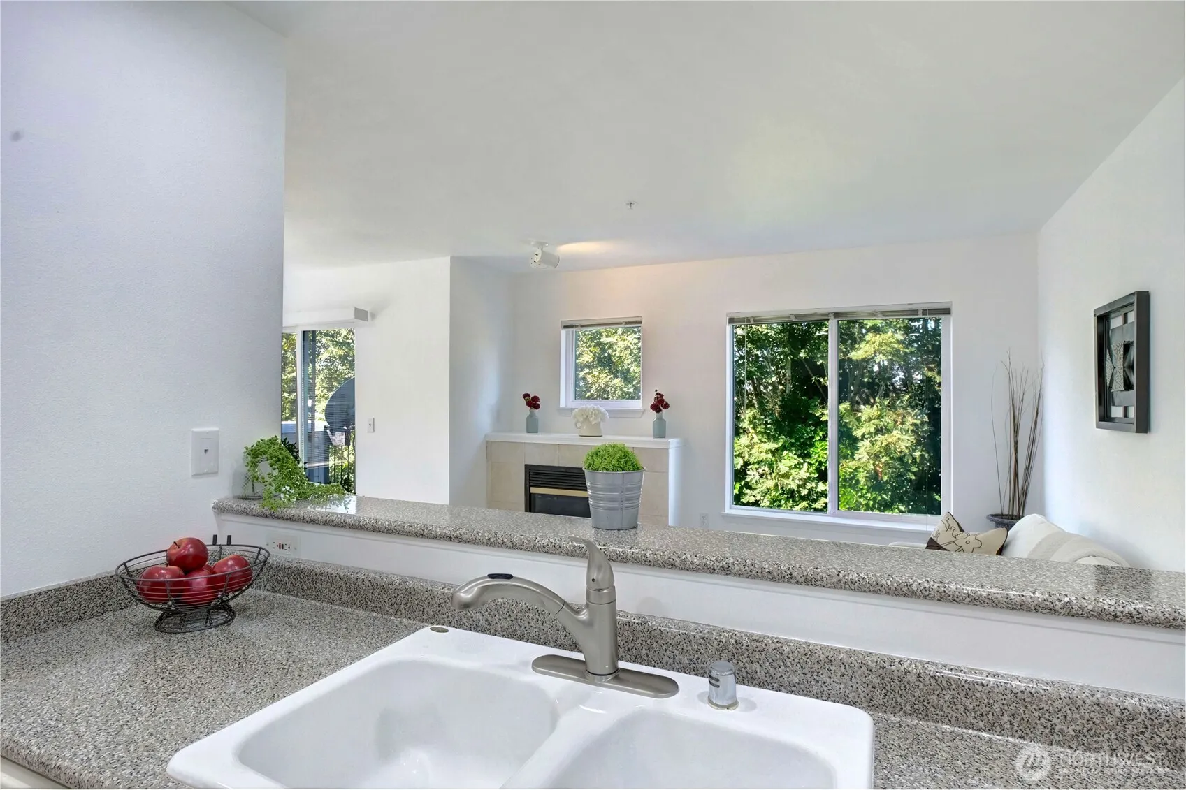 1729 12th Avenue S #201, Seattle, WA 98144