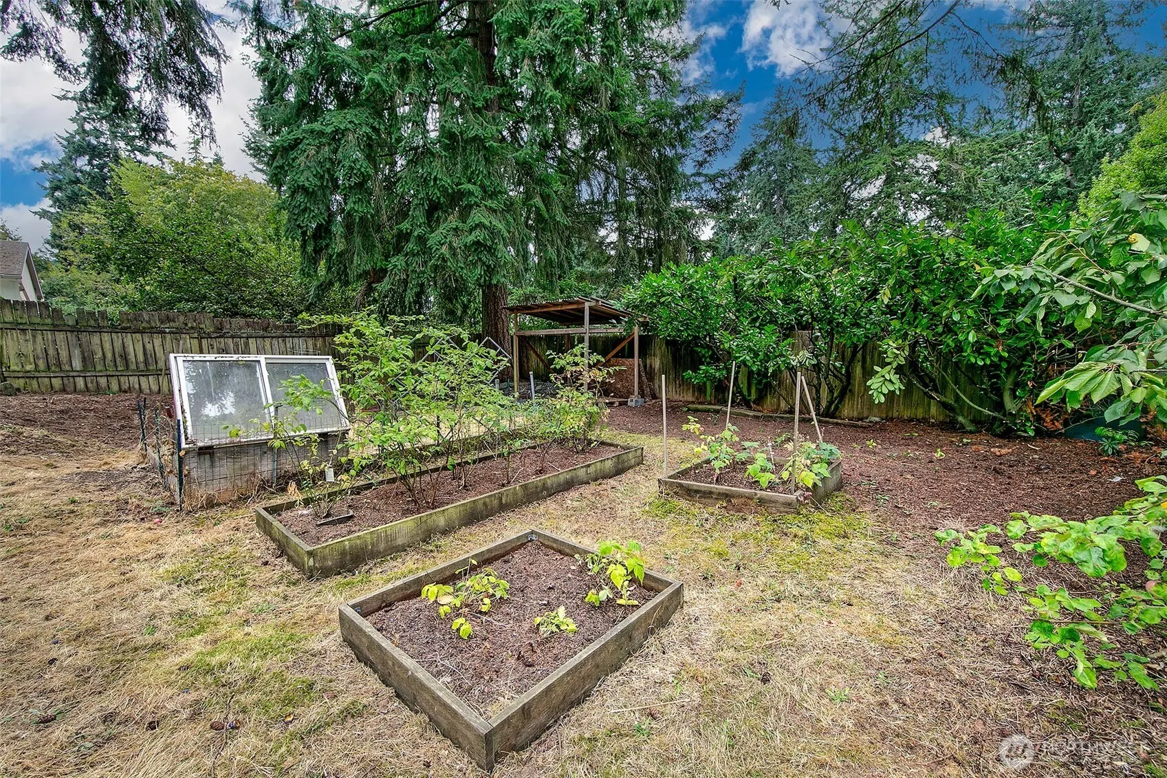 13753 Ashworth Avenue N, Seattle, WA 98133