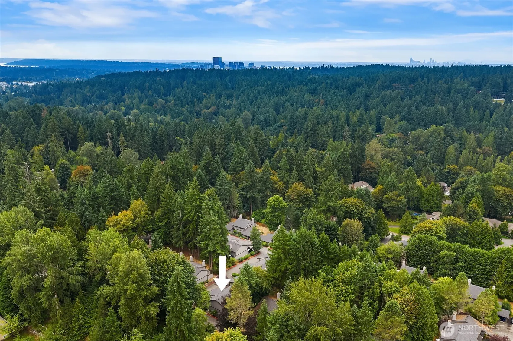 4015 145th Avenue NE, Bellevue, WA 98007