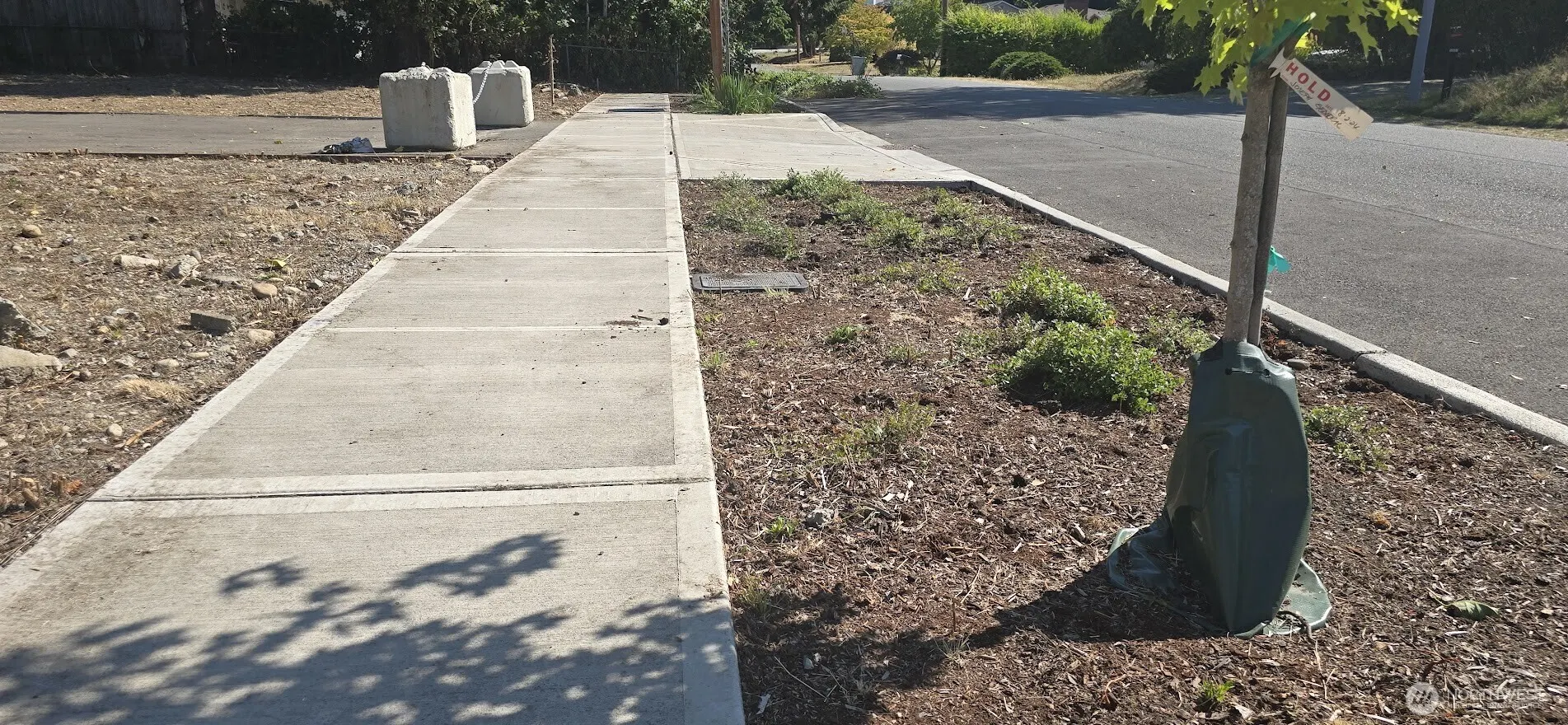 10814 SE 173 Street , Renton, WA 98055