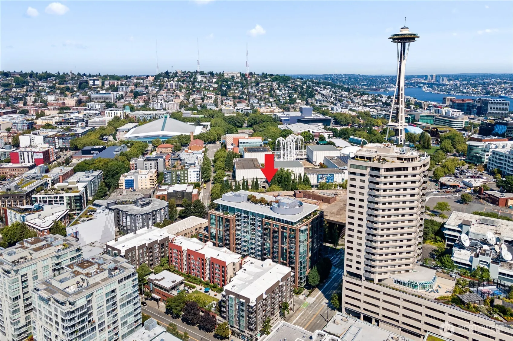 2911 2nd Avenue #1003, Seattle, WA 98121