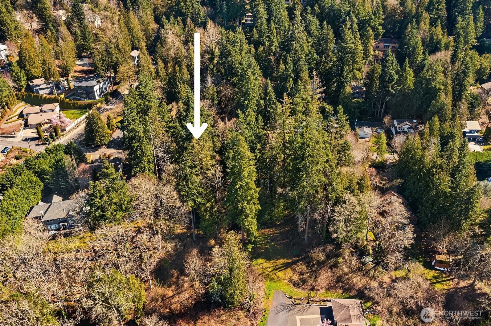 11 XX 205th Avenue NE, Sammamish, WA 98075