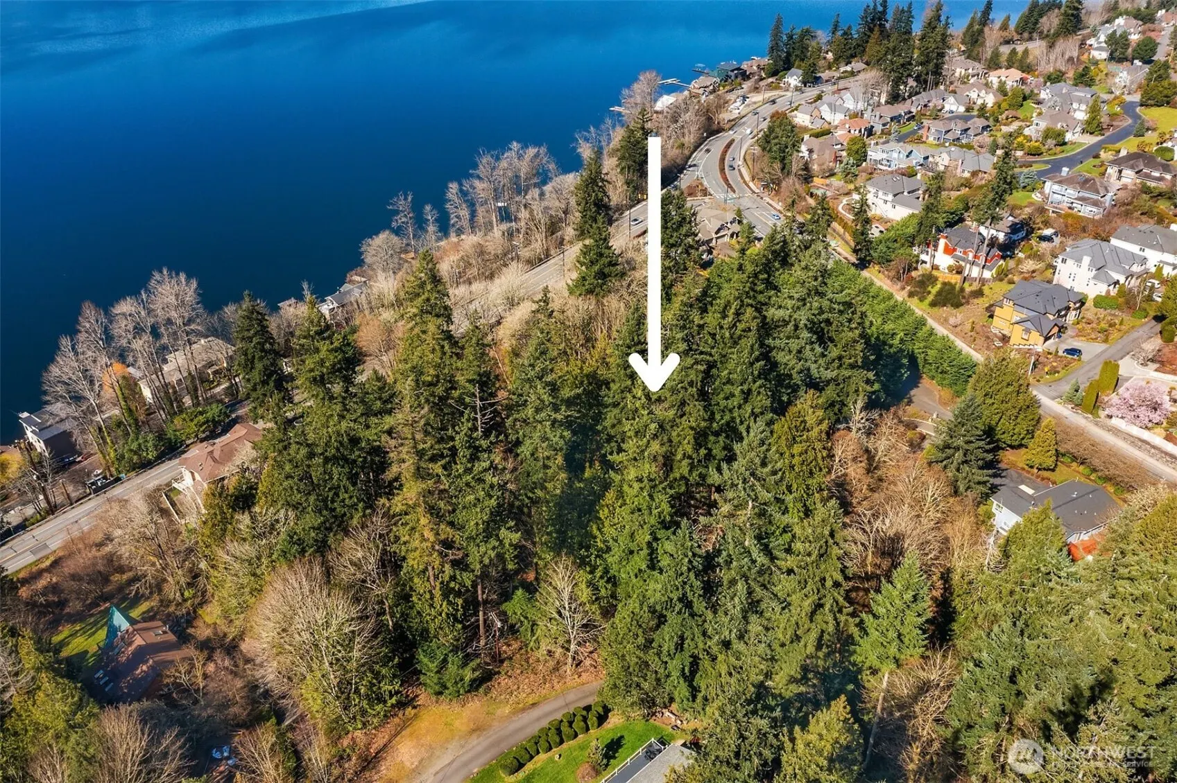 11 XX 205th Avenue NE, Sammamish, WA 98075