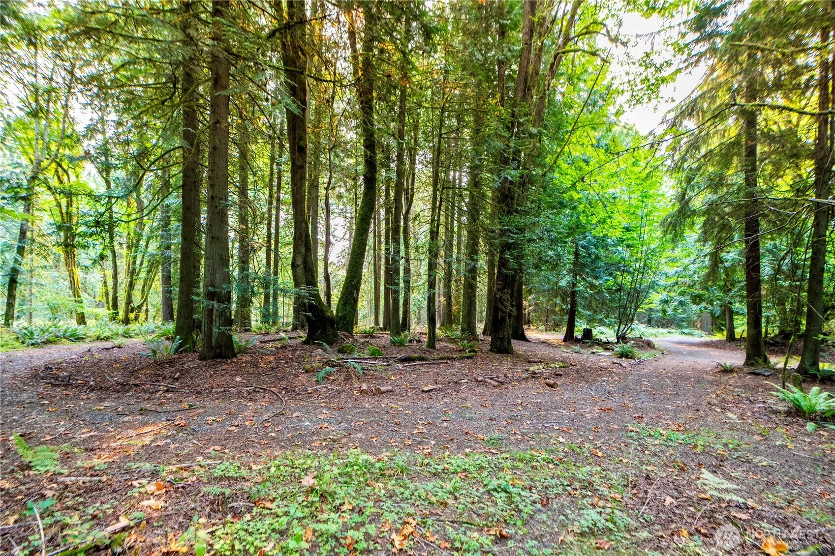 17910 SE 110th Street , Renton, WA 98059