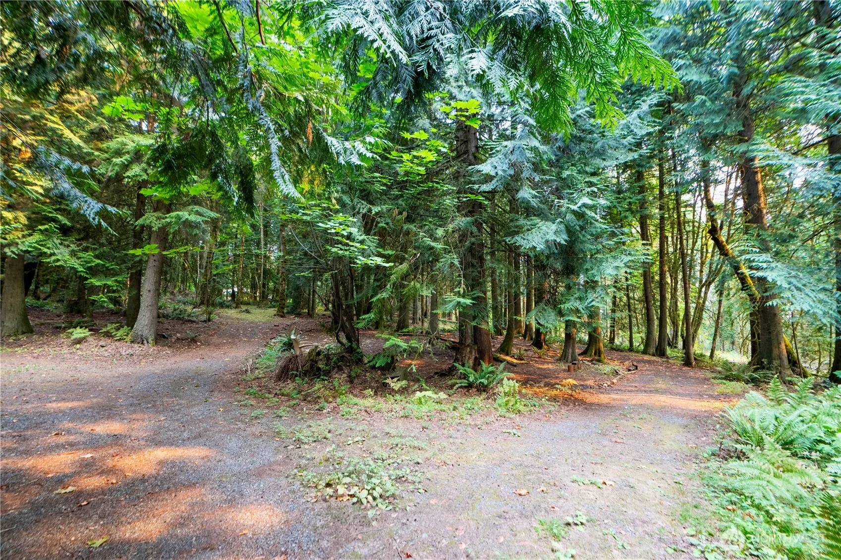 17910 SE 110th Street , Renton, WA 98059