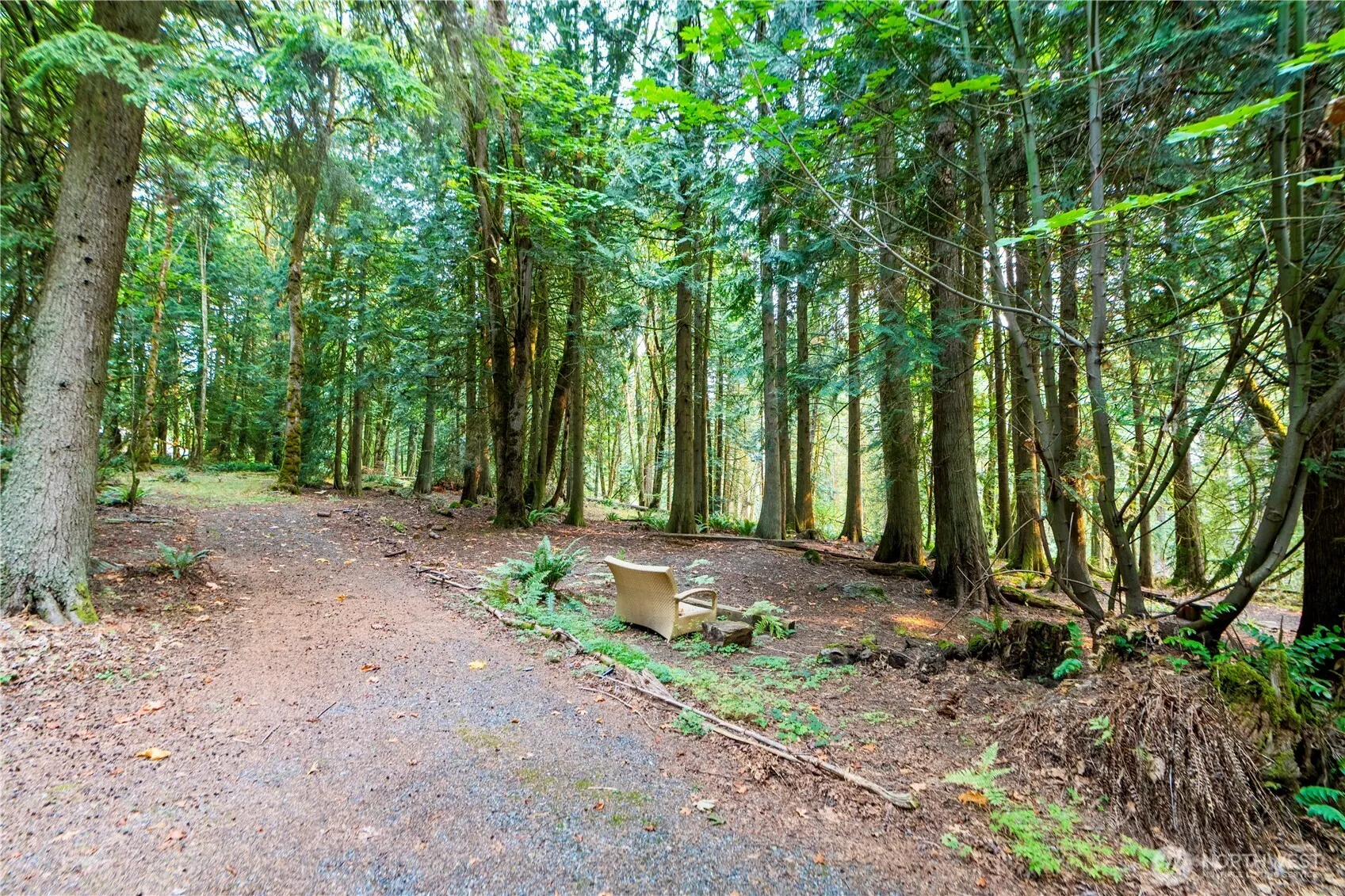 17910 SE 110th Street , Renton, WA 98059