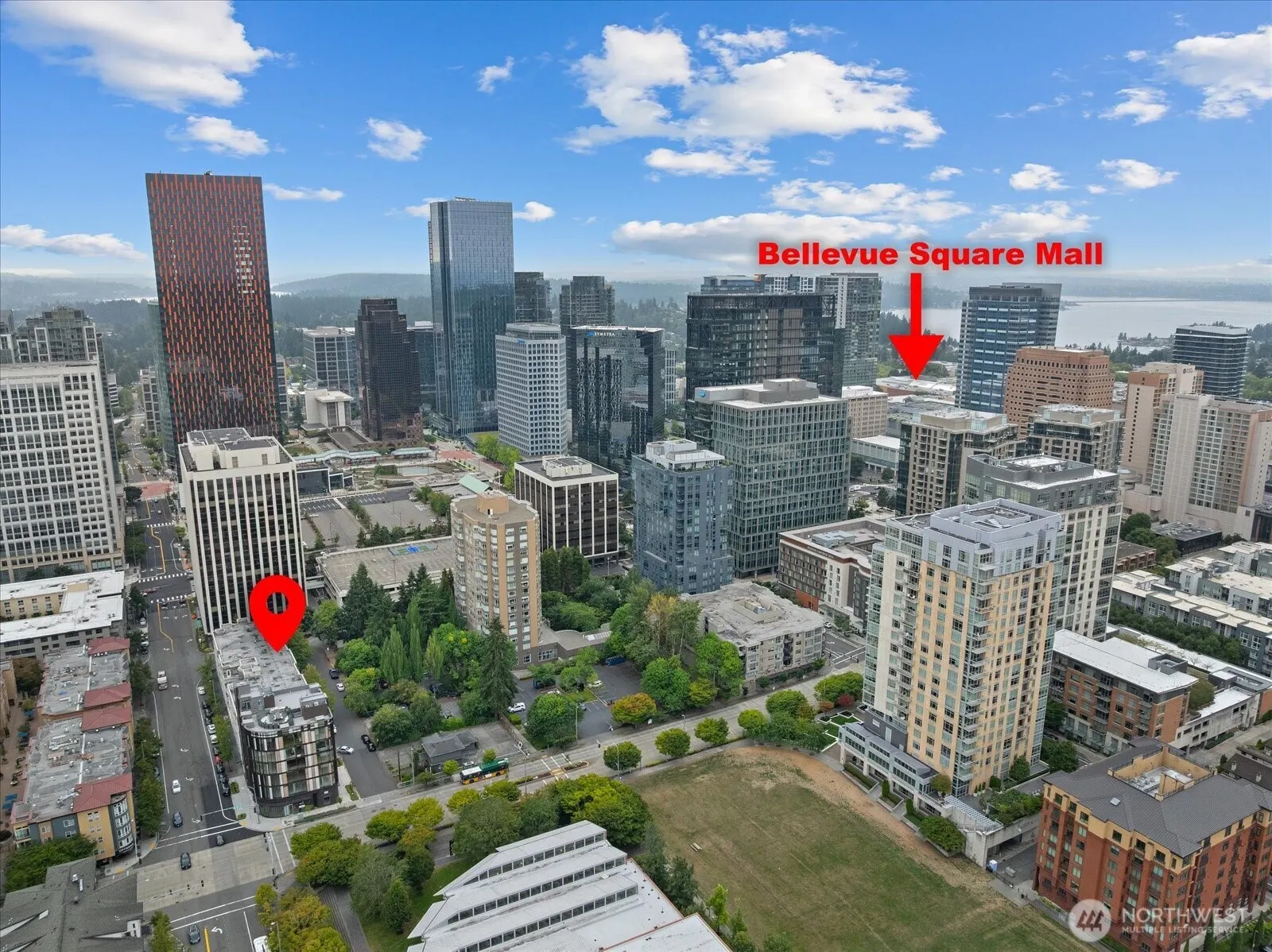 925 110th Avenue NE #PH05, Bellevue, WA 98004