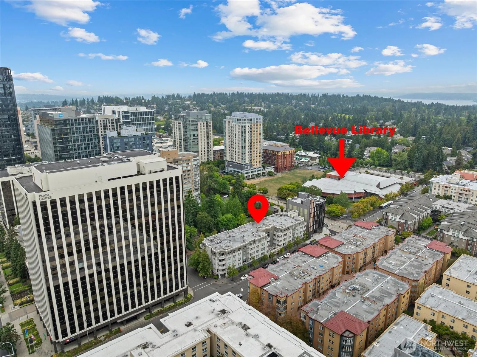 925 110th Avenue NE #PH05, Bellevue, WA 98004