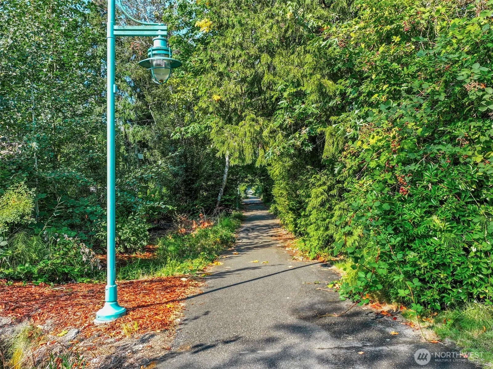 732 Kirkland Circle #D102, Kirkland, WA 98033-6372
