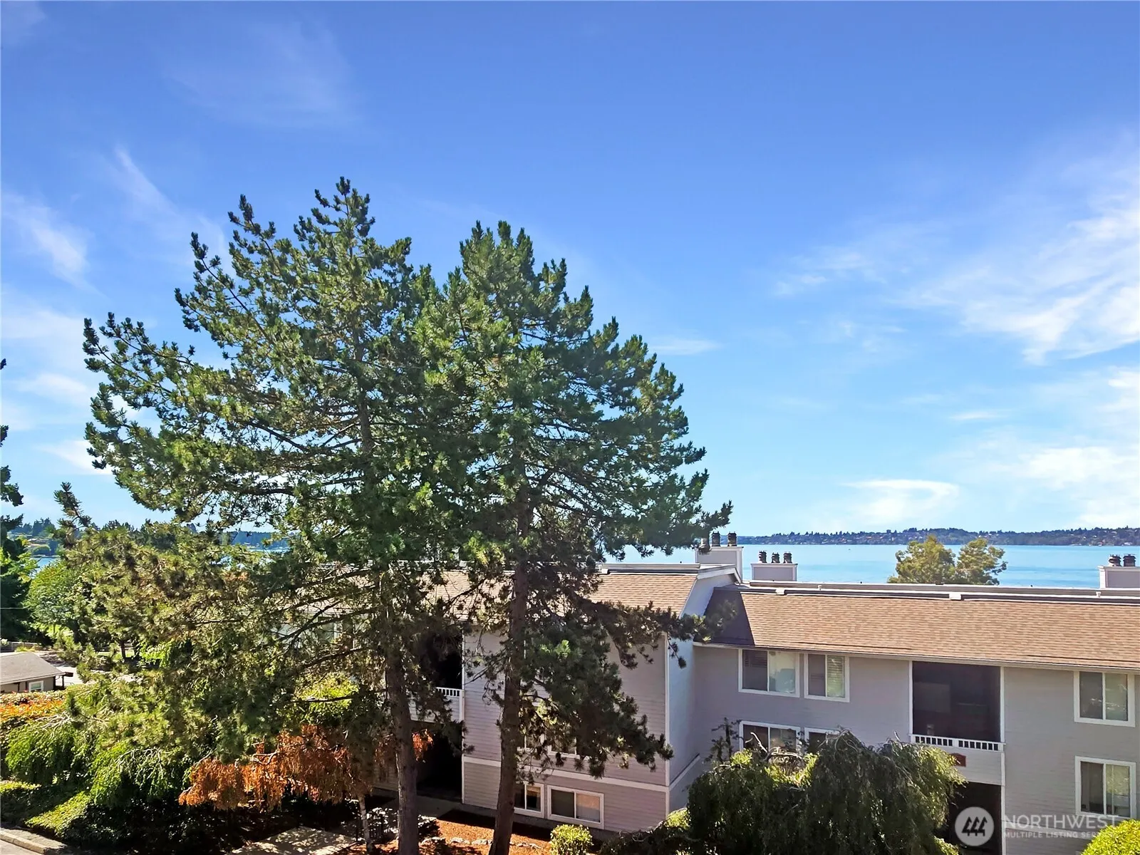 10110 NE 60th Street #107, Kirkland, WA 98033
