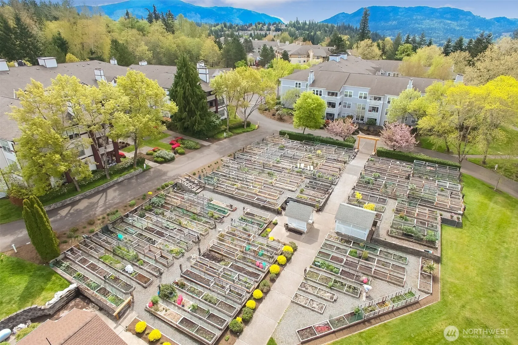 22425 SE Highland Lane #305, Issaquah, WA 98029