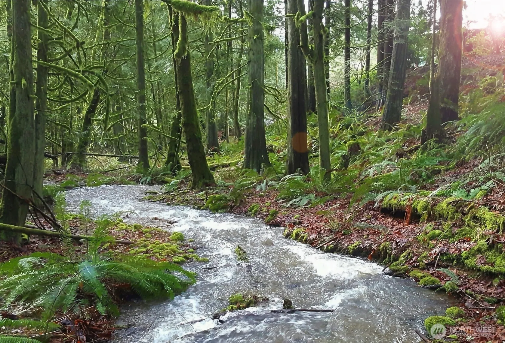 9506 240 Avenue SE, Issaquah, WA 98027