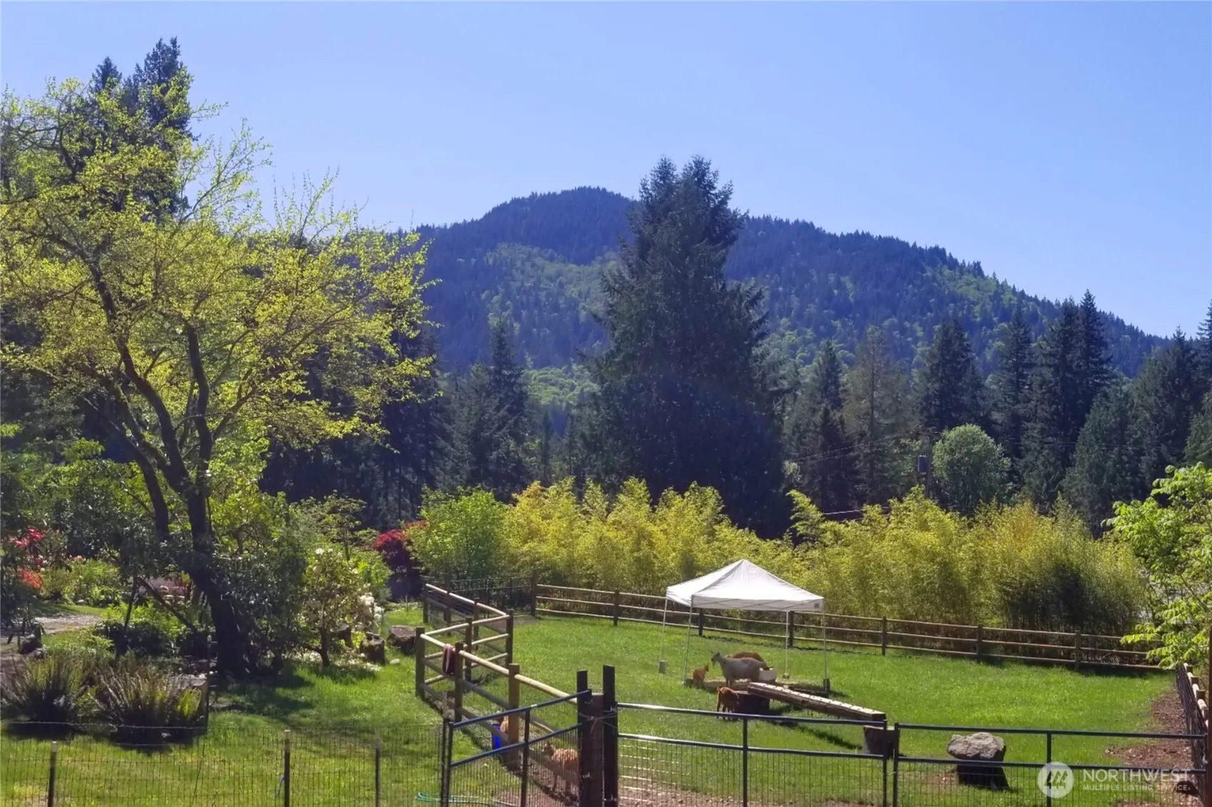 9506 240 Avenue SE, Issaquah, WA 98027
