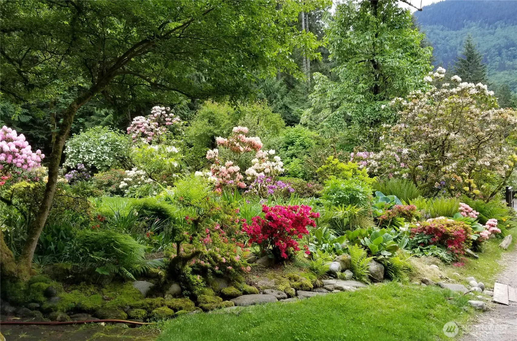 9506 240 Avenue SE, Issaquah, WA 98027