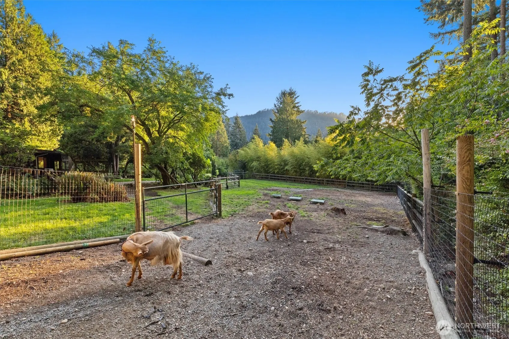 9506 240 Avenue SE, Issaquah, WA 98027