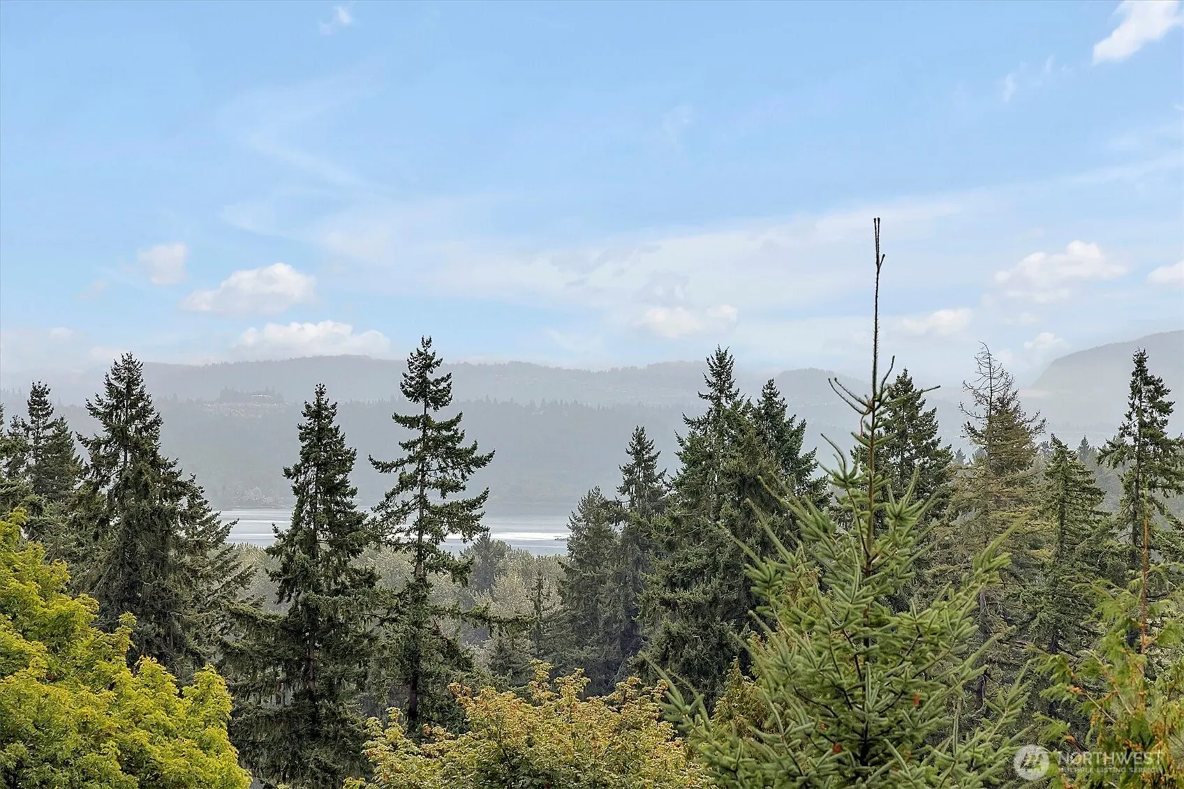 3410 161st Court SE #31, Bellevue, WA 98008