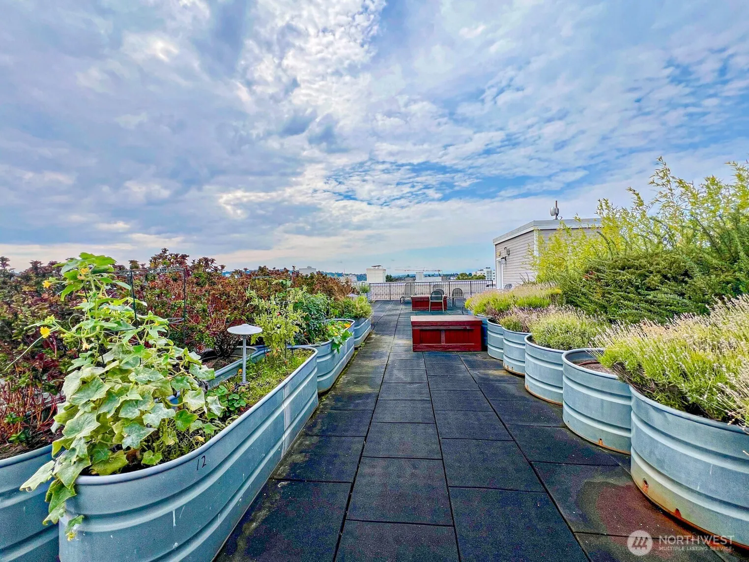 1545 NW 57th Street #501, Seattle, WA 98107