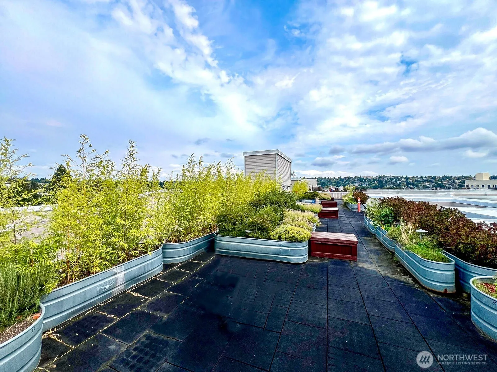 1545 NW 57th Street #501, Seattle, WA 98107
