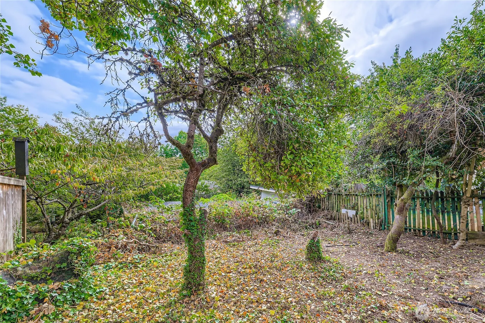 1118 24th Avenue , Seattle, WA 98122