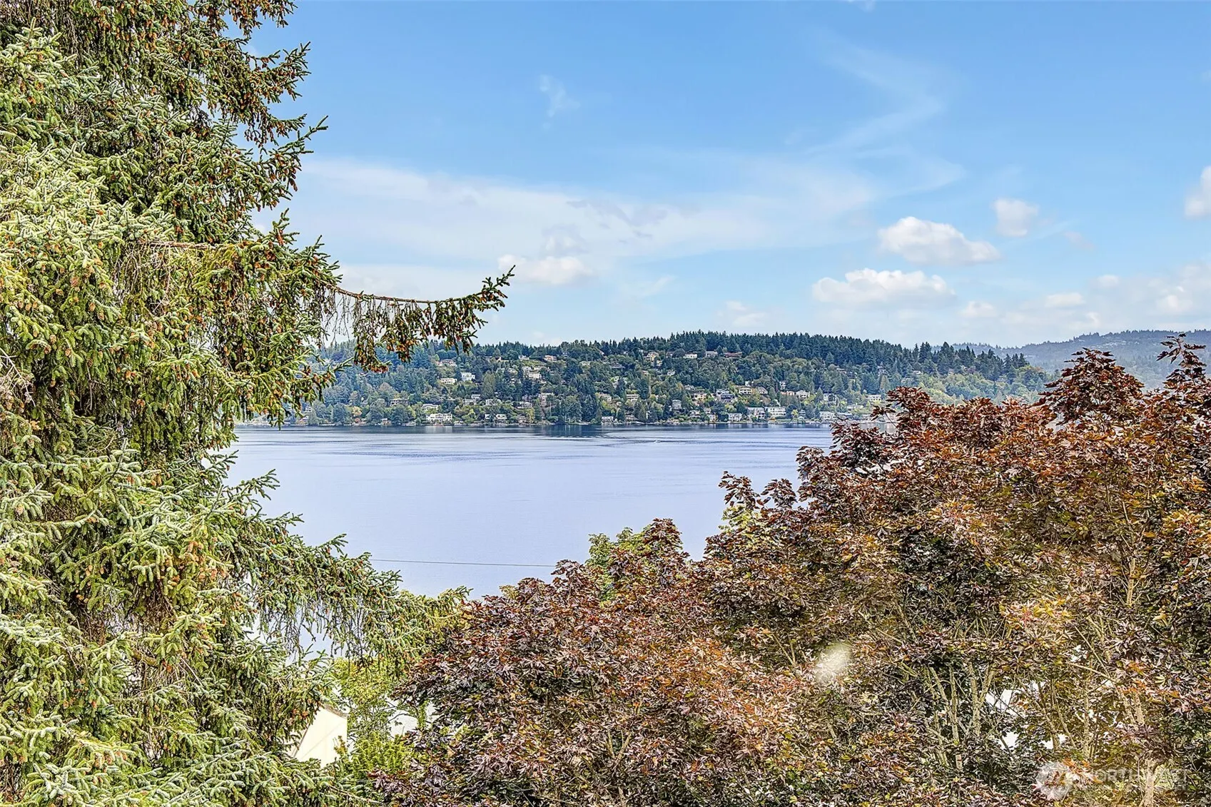 9733 Arrowsmith Avenue S, Seattle, WA 98118