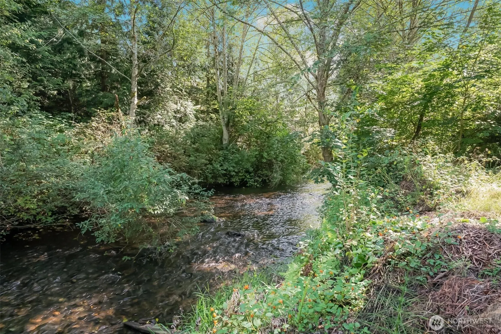 13312 230th Avenue SE, Issaquah, WA 98027