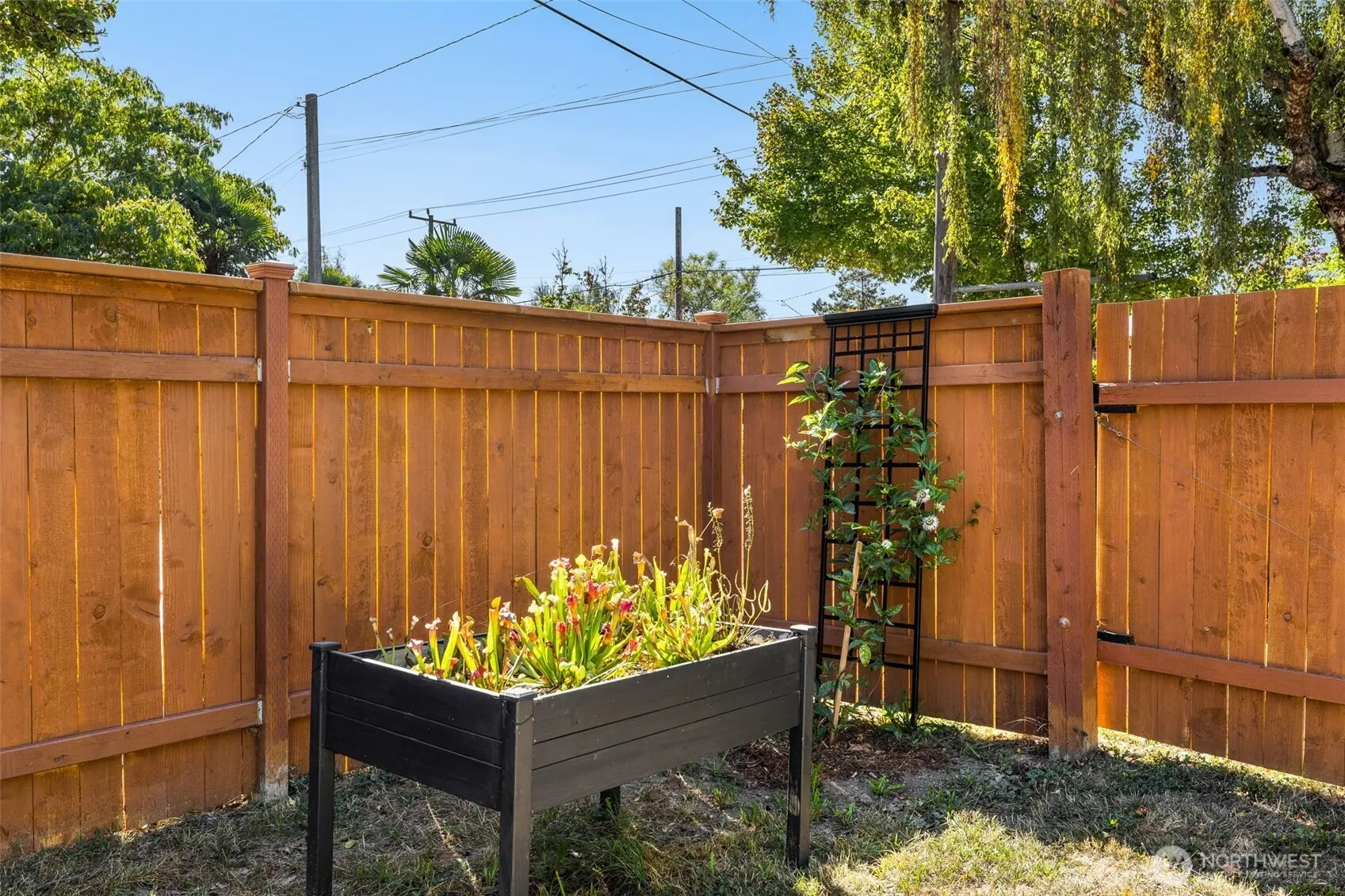 4208 S Genesee Street , Seattle, WA 98118