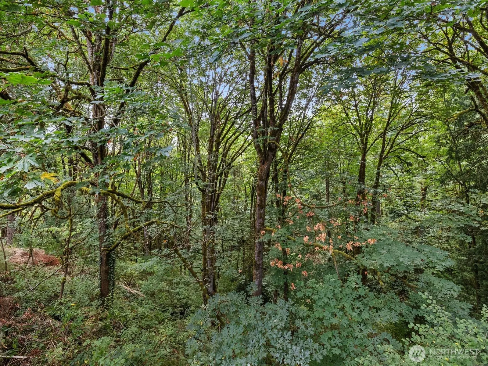 14244 NE 80th Place , Redmond, WA 98052