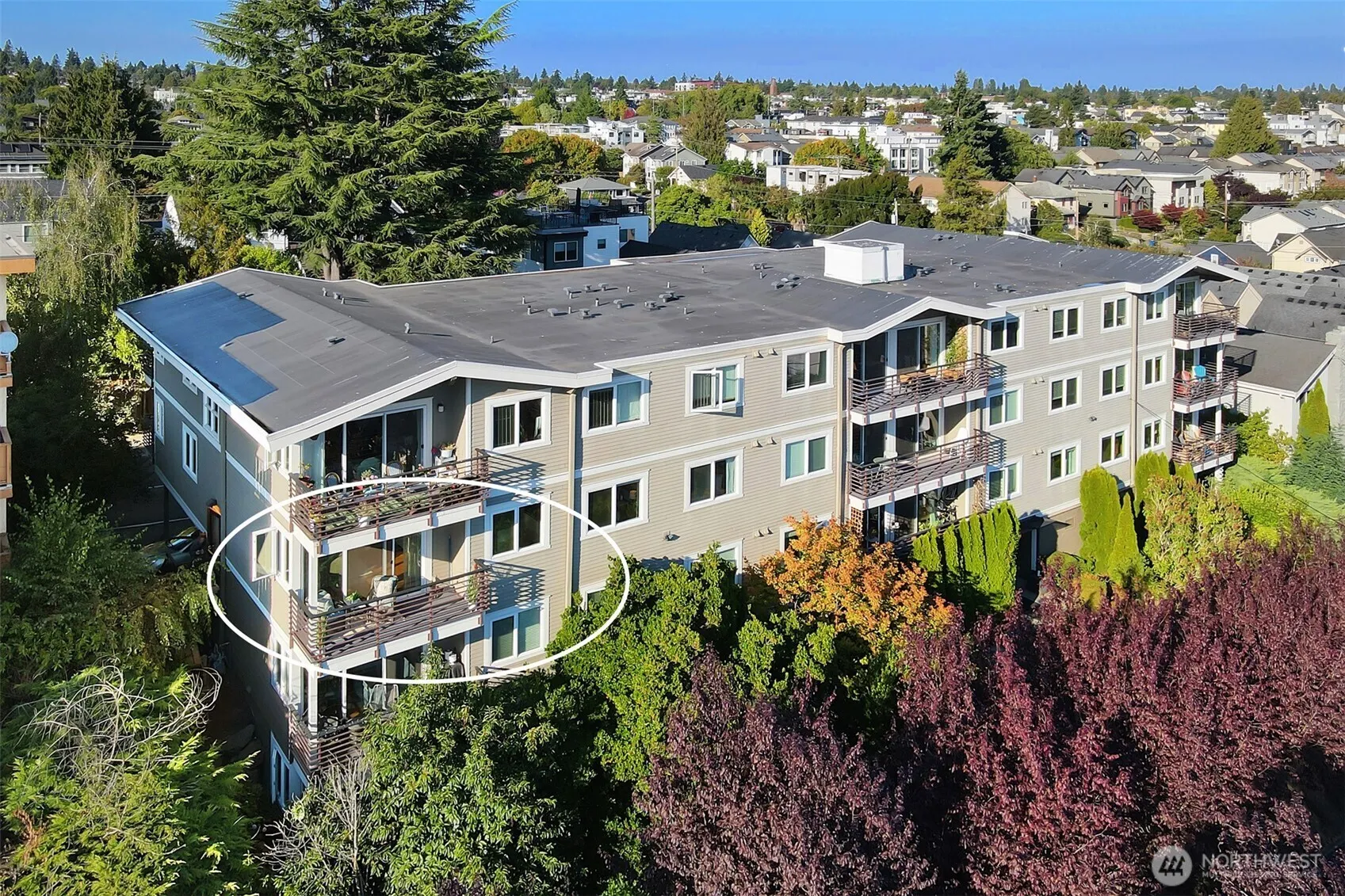 2830 NW 56th Street #303, Seattle, WA 98107