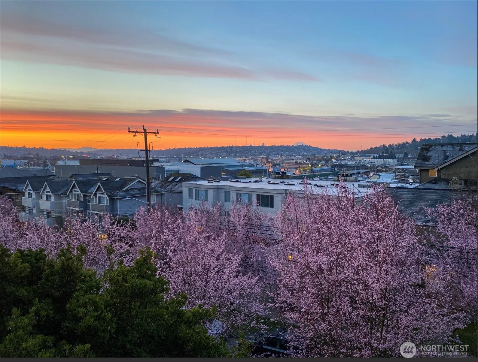 2830 NW 56th Street #303, Seattle, WA 98107