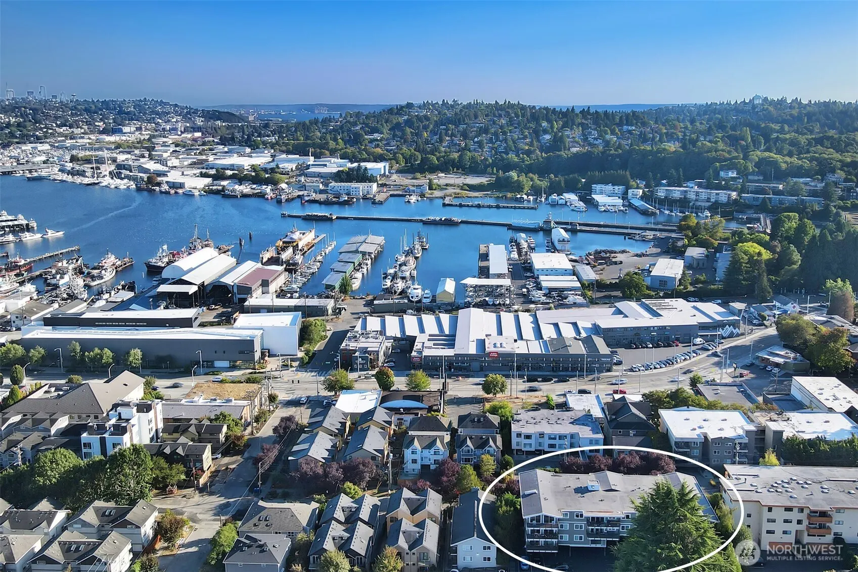 2830 NW 56th Street #303, Seattle, WA 98107