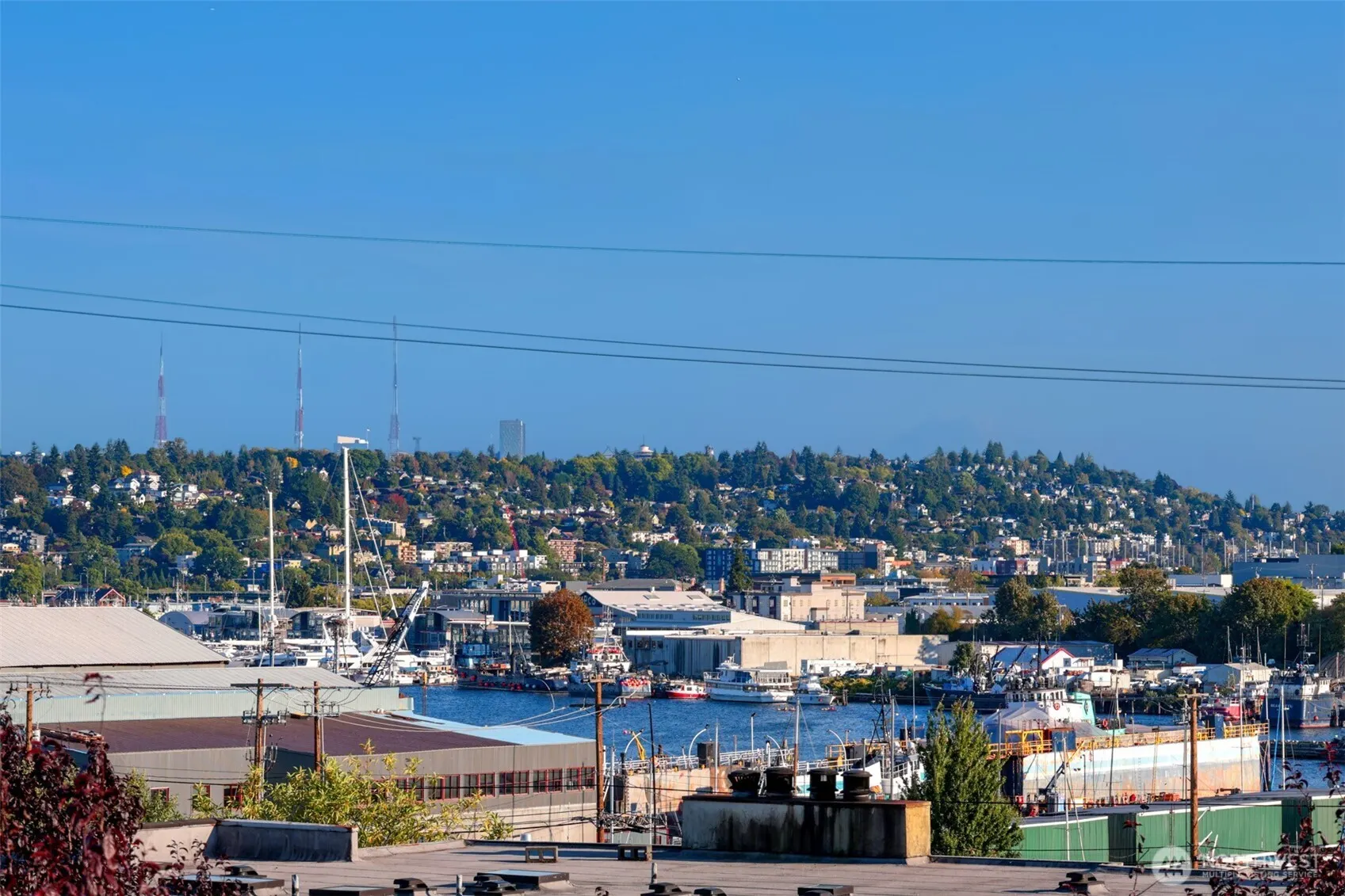 2830 NW 56th Street #303, Seattle, WA 98107